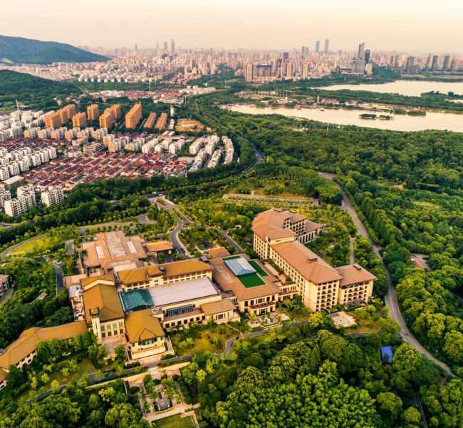 Real Estate Consultancy Services 3